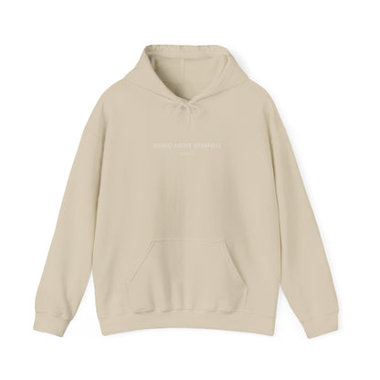 Rising Above Darkness John 1:5 Hoodie | Minimal Christian Faith-Based Apparel