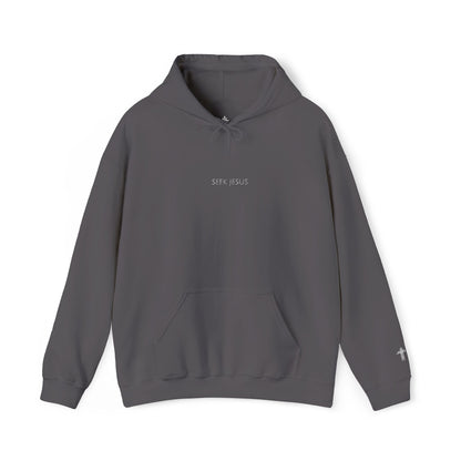 Seek Jesus | Embroidered Christian Hoodie