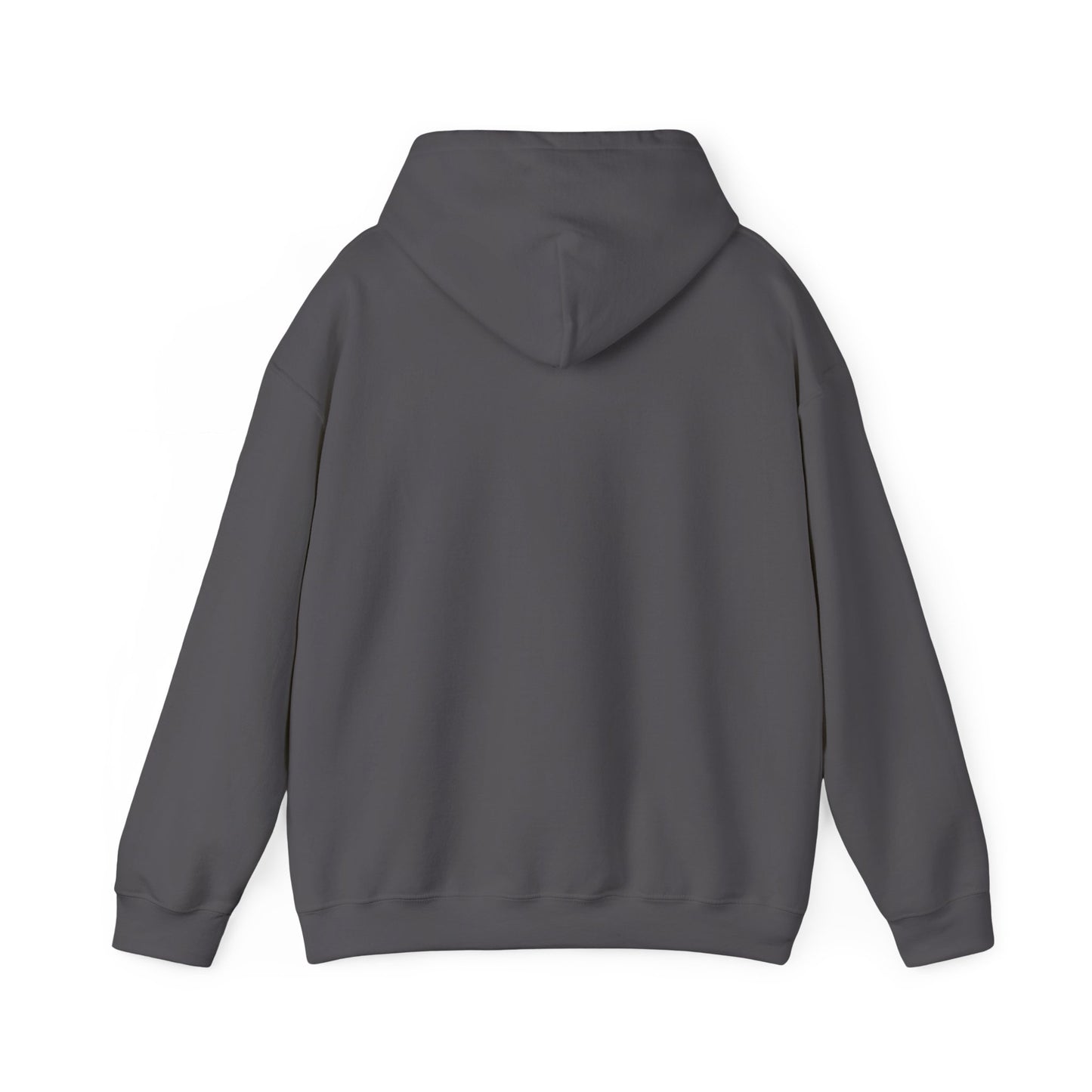 Kingdom Seeker Hoodie | Minimal Christian Faith-Based Apparel