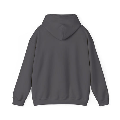 Kingdom Seeker Hoodie | Minimal Christian Faith-Based Apparel