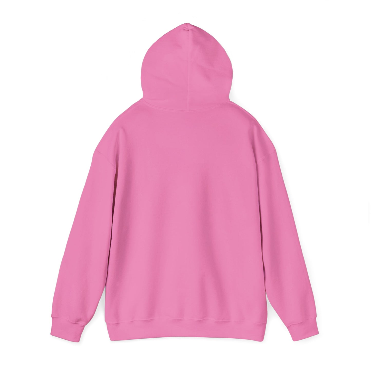 Kingdom Seeker Hoodie | Minimal Christian Faith-Based Apparel