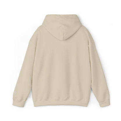 Faith Over Fear | Embroidered Christian Hoodie